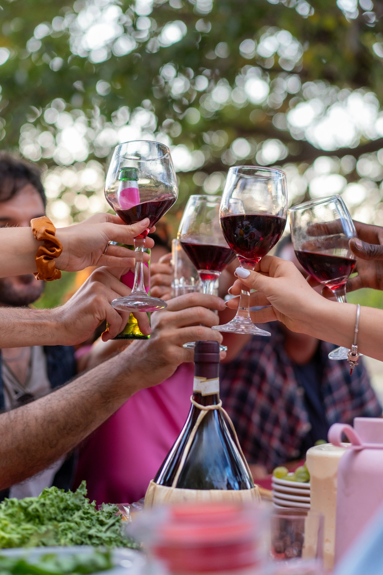 Friends toasting with red wine at outdoor garden party