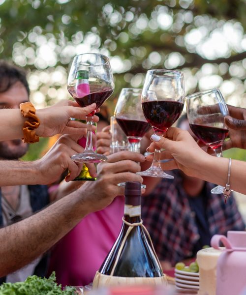 Friends toasting with red wine at outdoor garden party